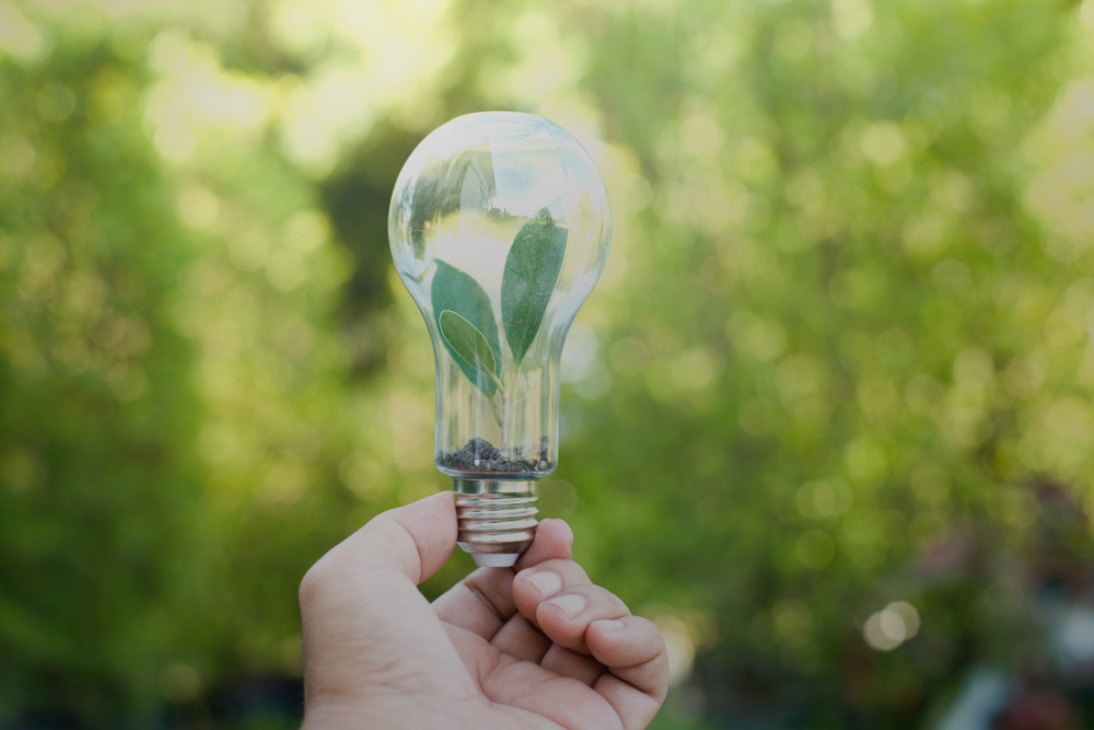 Azienda ecosostenibile con pannelli solari e smart technology