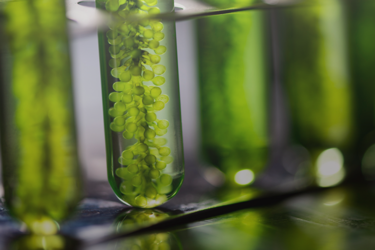 La nutraceutica, nuove opportunità terapeutiche o solo marketing?