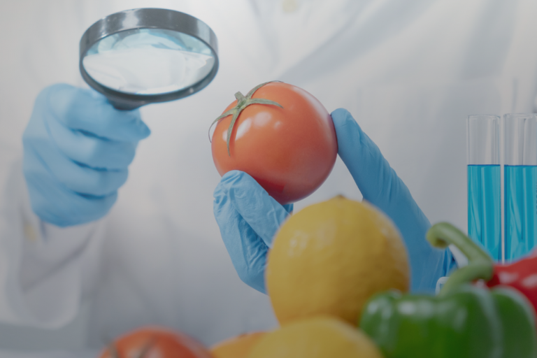 L’importanza della Sicurezza nei Luoghi di Lavoro in Materia di Sicurezza Alimentare